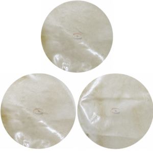 Goat Skin Transparent